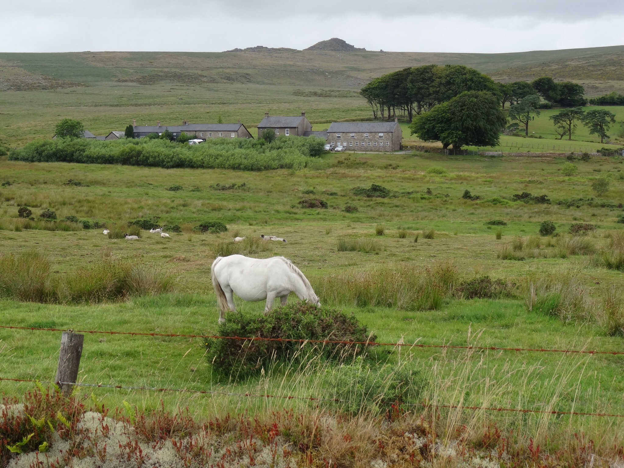 Dartmoor Moretonhampsted Two Bridges 2 people 2×2 wheels 1 dream